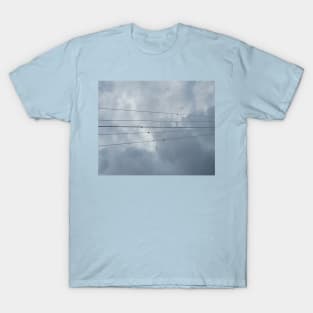 Birds on a wire T-Shirt